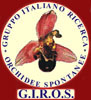 giroslogo.jpg (13711 octets)