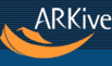 logo_page_arkivelogo.gif (1796 octets)