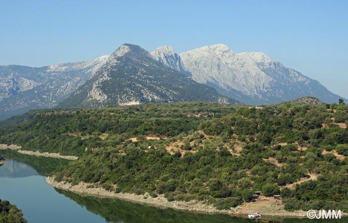 Supramonte