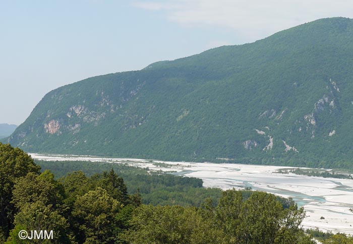 Fleuve Tagliamento