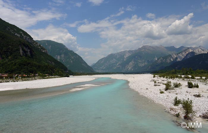 Fleuve Tagliamento