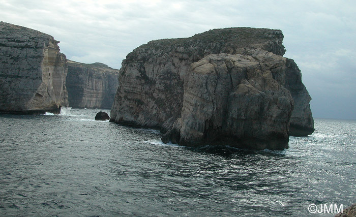 Fungus Rock