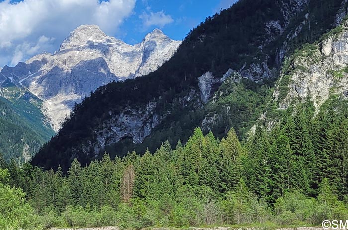 Site à Malaxis monophyllos